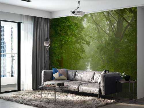 Green forest with misty path