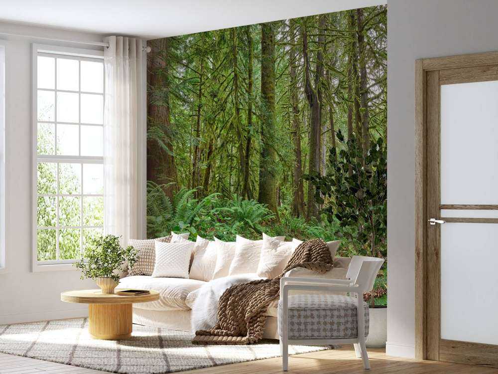 Path with stones through the forest 