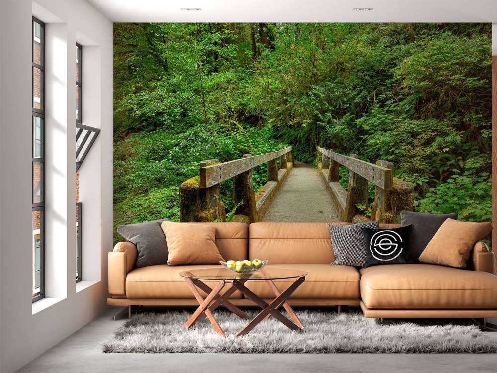 Bridge in the forest