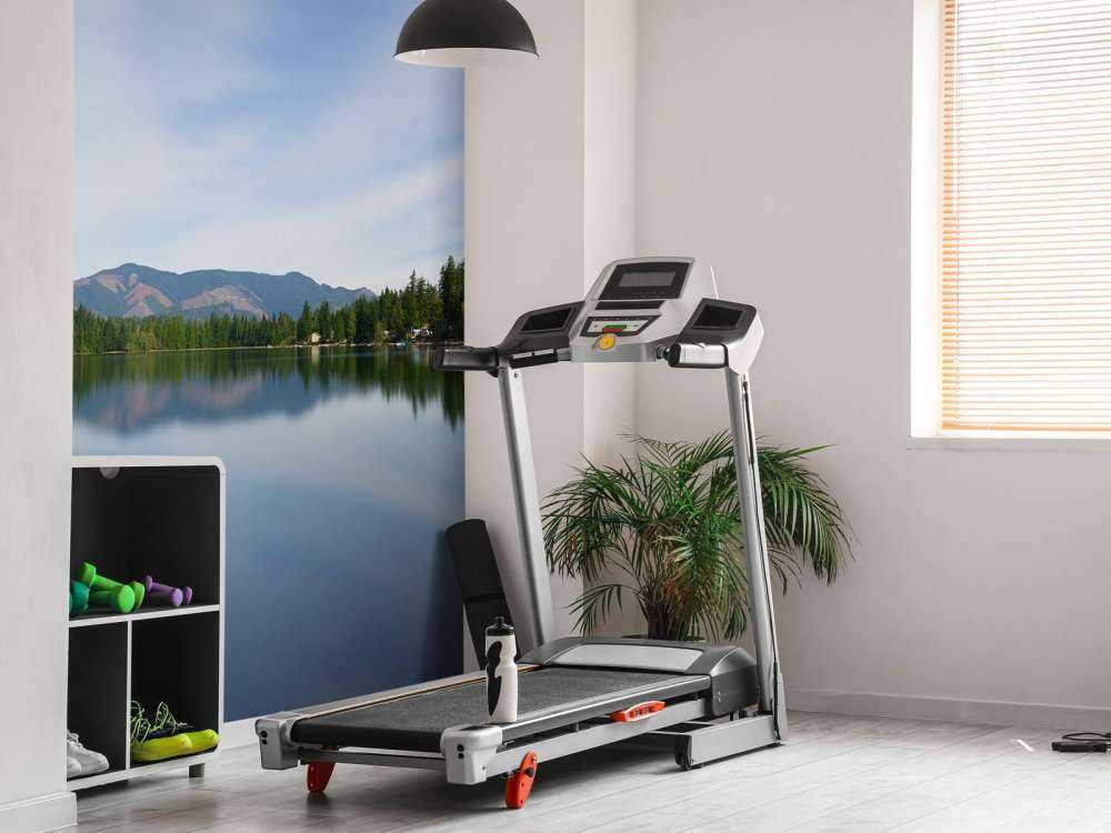 Reflection in the lake