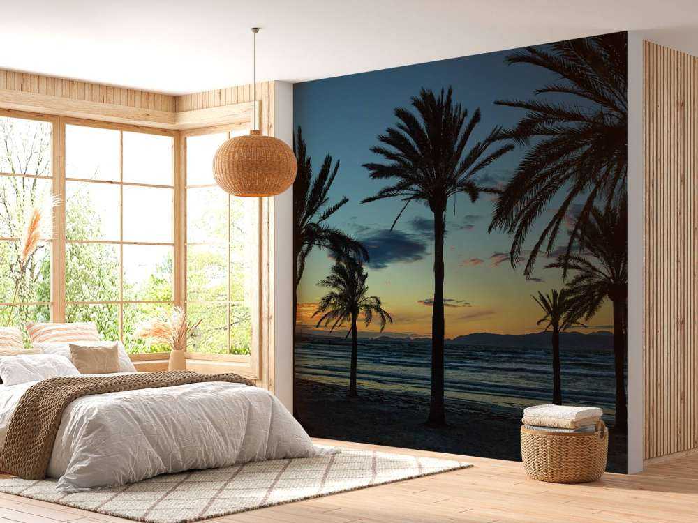 Palm trees at sunset