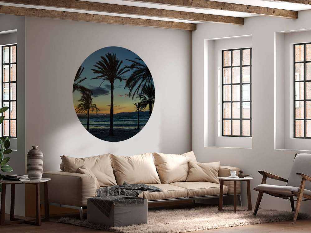 Palm trees at sunset