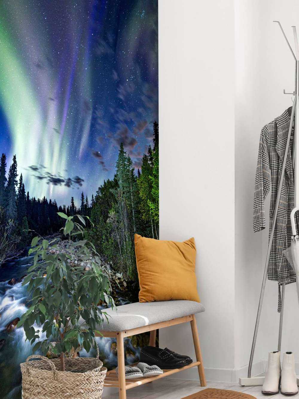 Brooklet during the northern lights