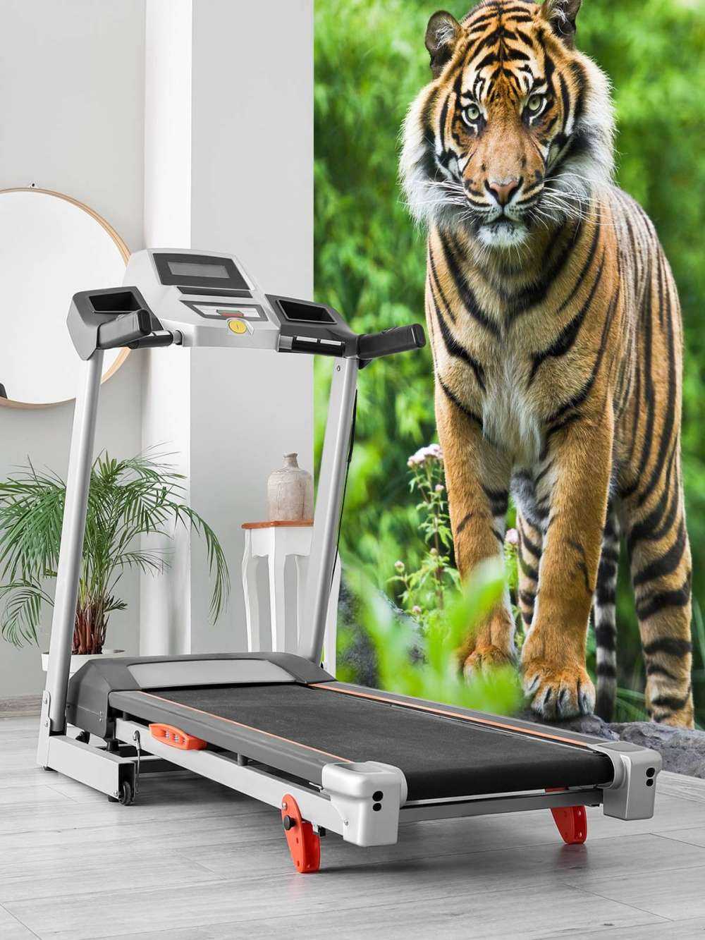 Tiger standing on a stone