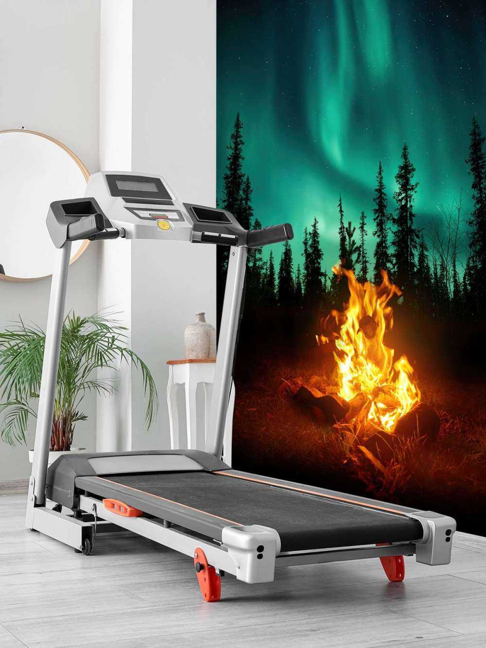 Campfire under the northern lights