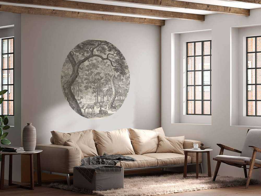 Forest view with two deer