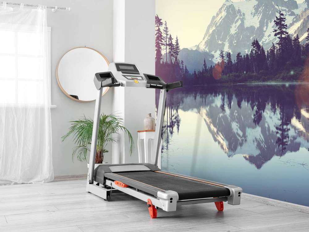 Mountain lake with forest