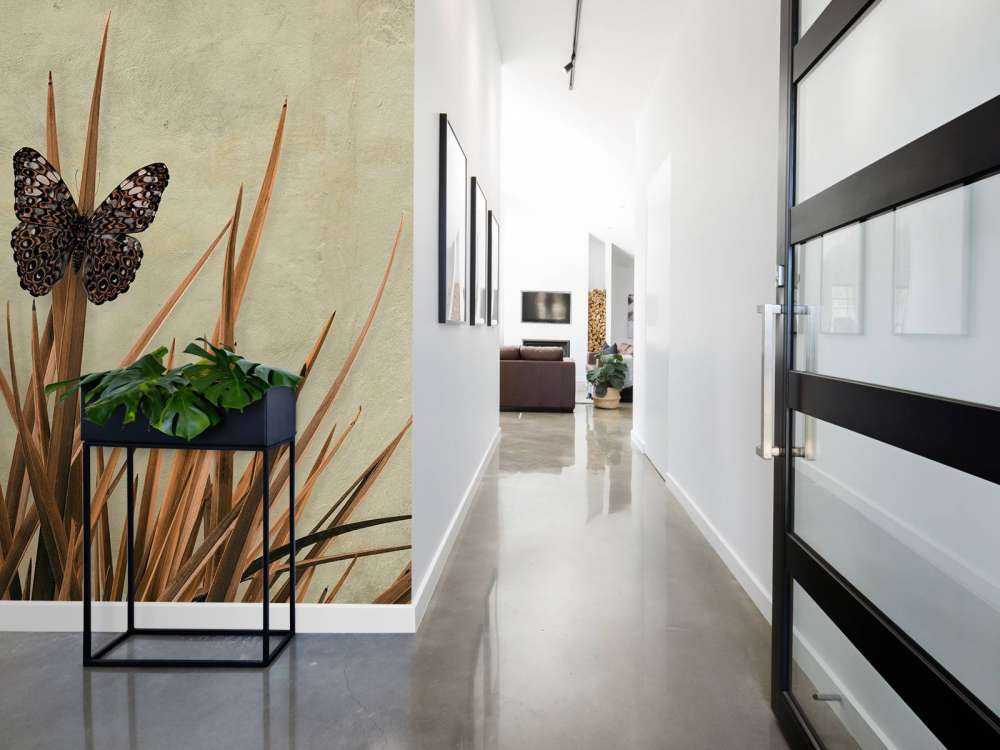 Butterfly near old wall