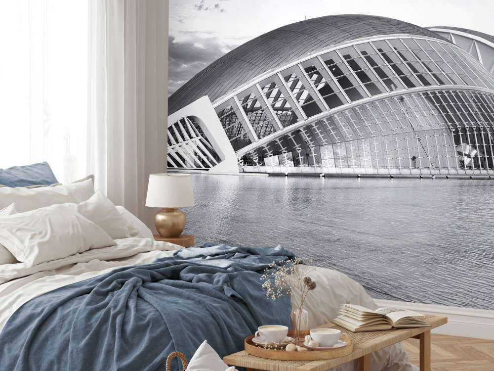 Imax theater - Hemisfèric