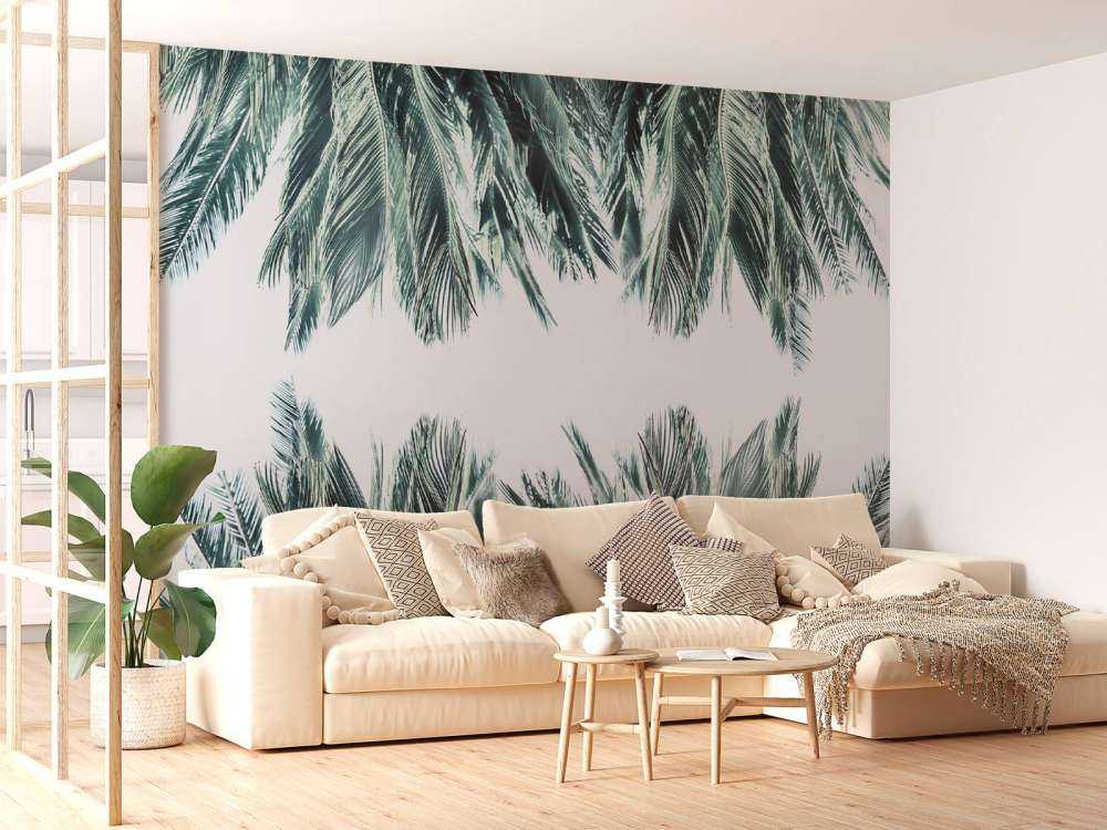 Palm leaves on white background