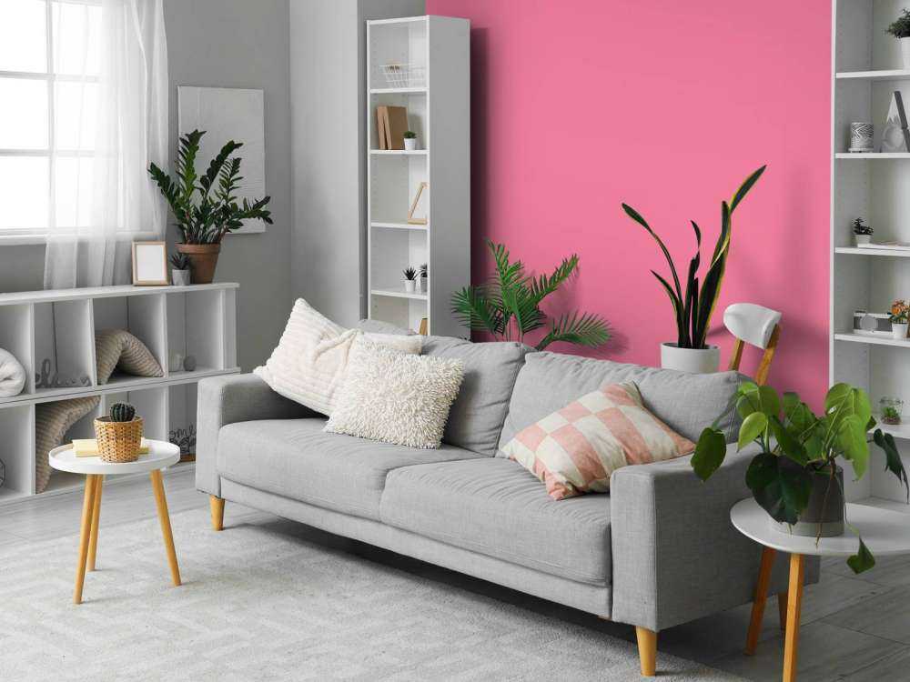 Shimmering blush