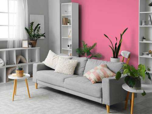 Shimmering blush