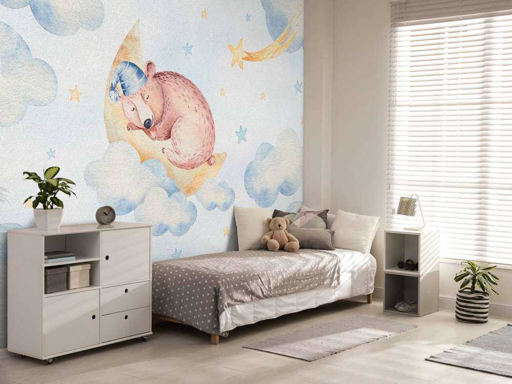 Sleeping bear in the clouds