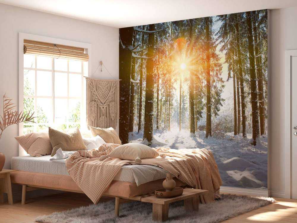 Sunlight in winter forest