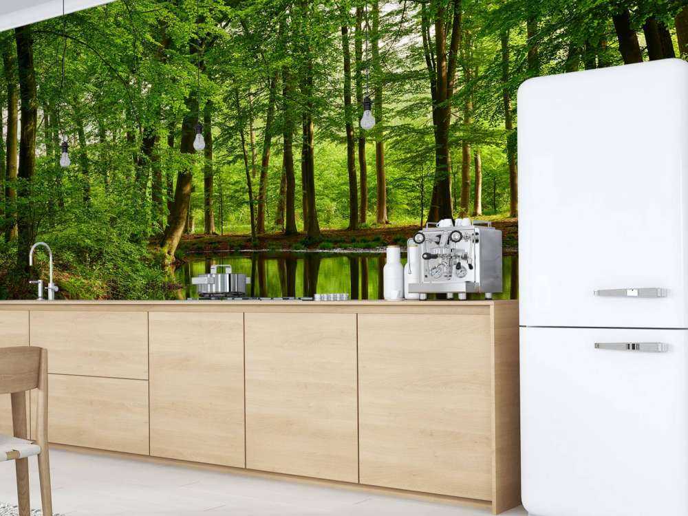 Reflection of trees in water