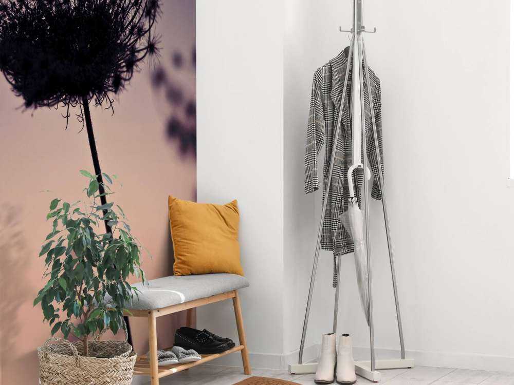 Silhouette of flowers