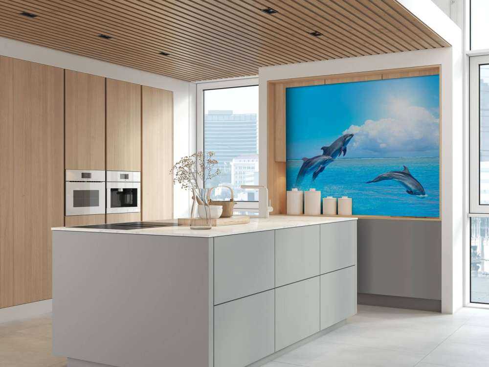 Dolphins in the ocean