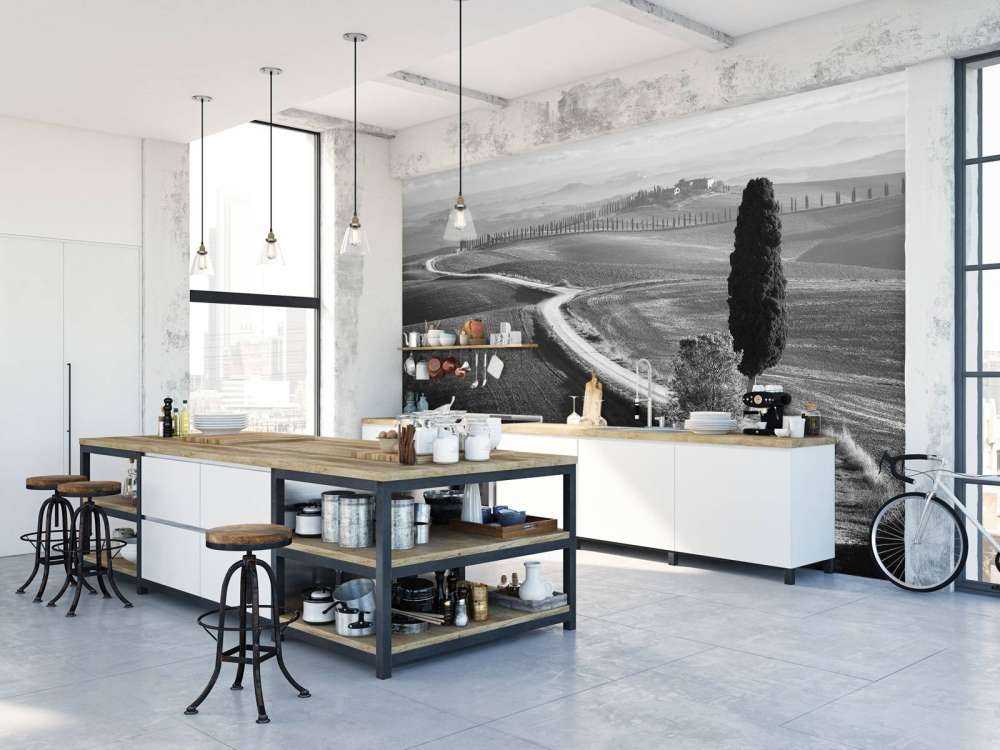 Morning in the field