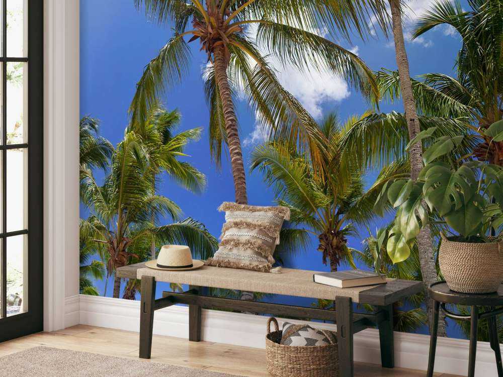 Coconut palm trees