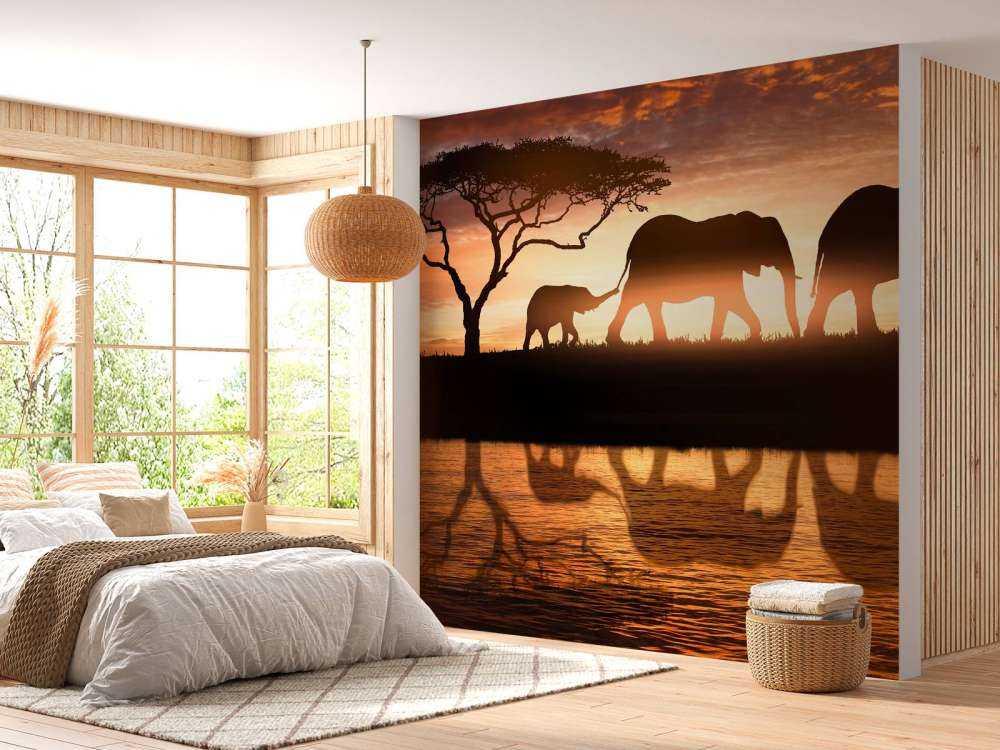 Elephants in savannah