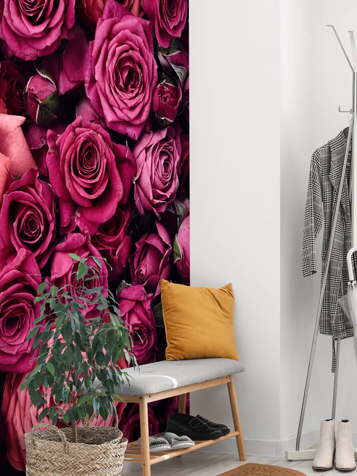 Pink roses
