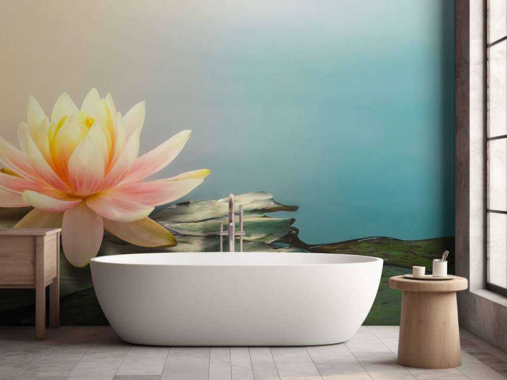 Pond with lotus flowers