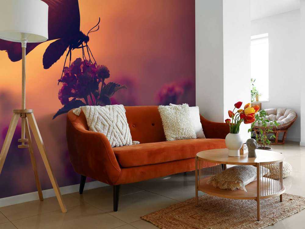 Butterfly with sunset