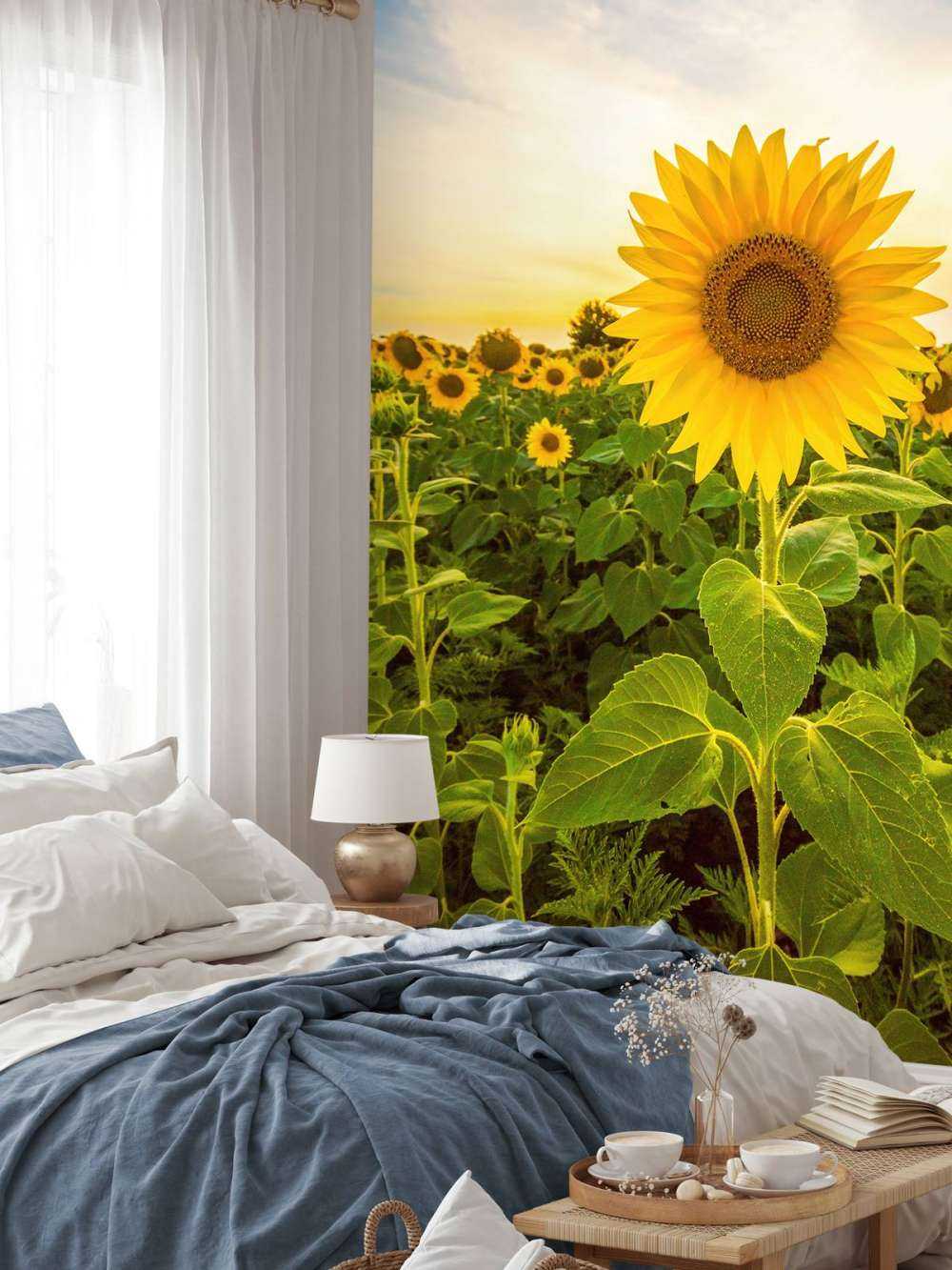 Sunflower in the field