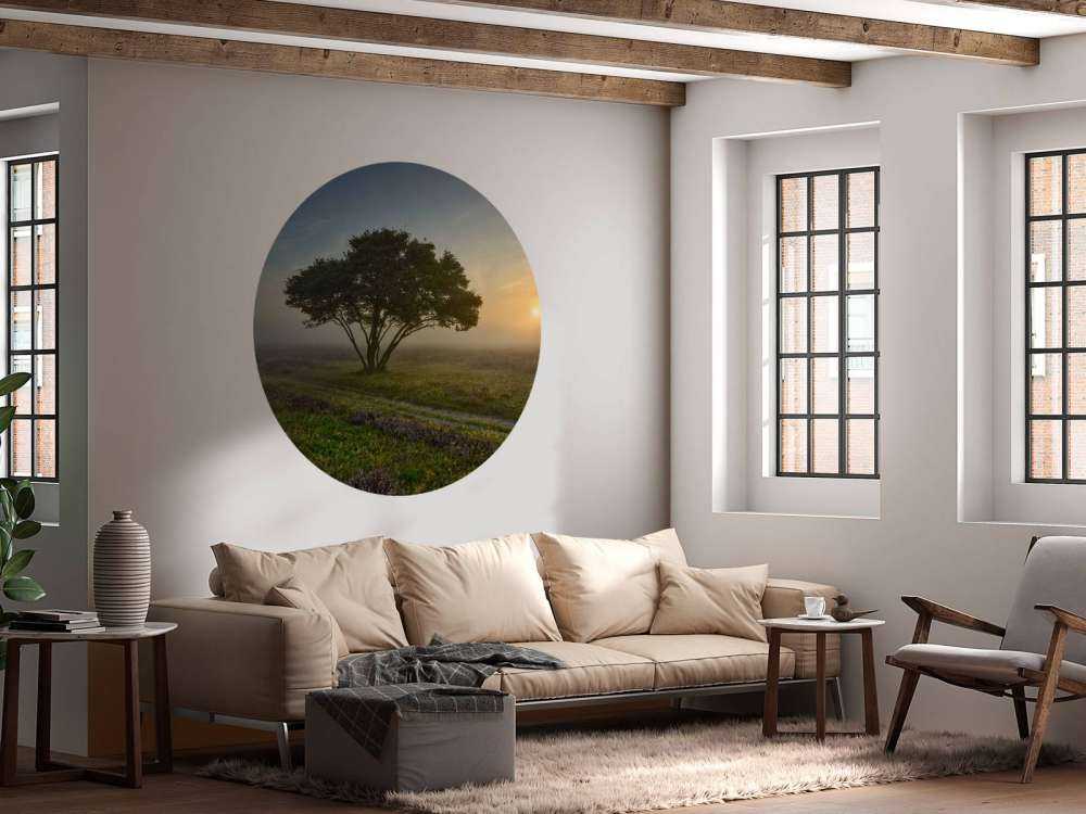 Sunrise on the heath