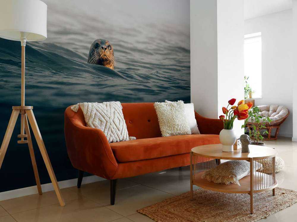 Seal off Danish coast