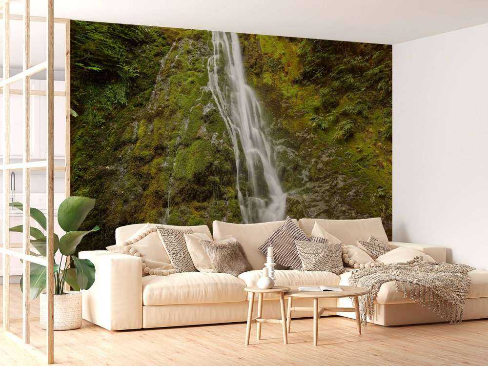 Waterfall with beautiful greenery