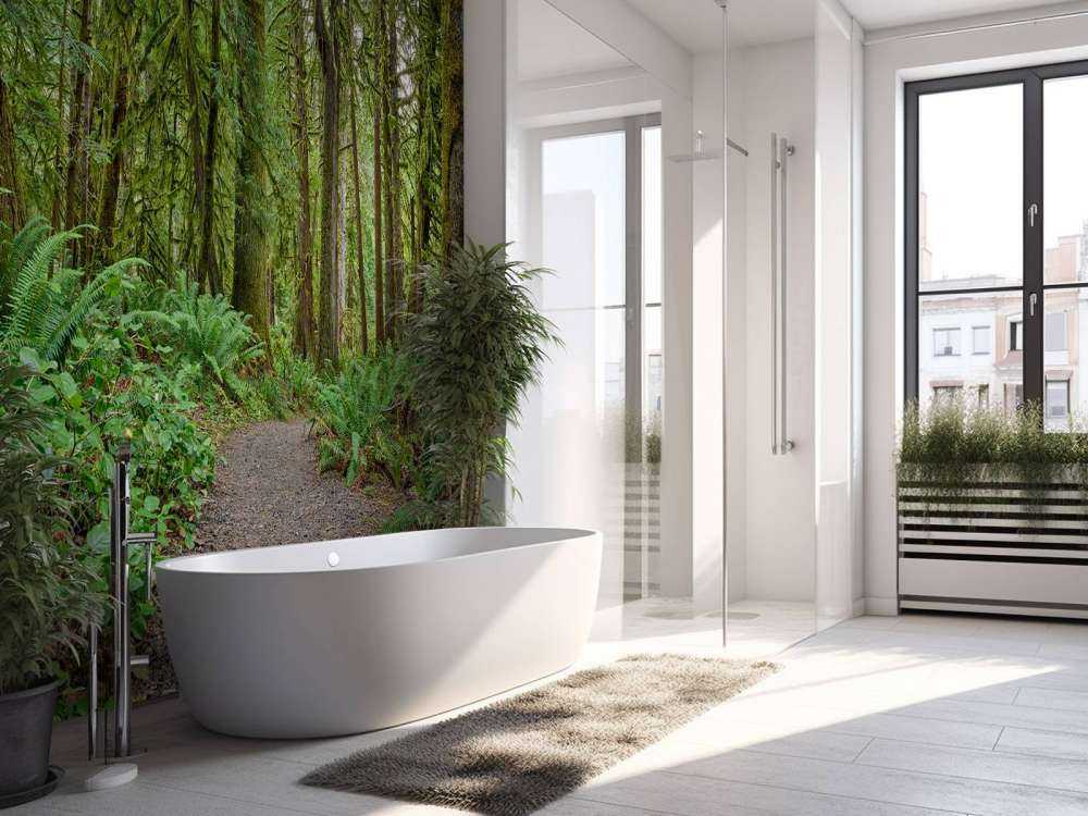 Path with stones through the forest