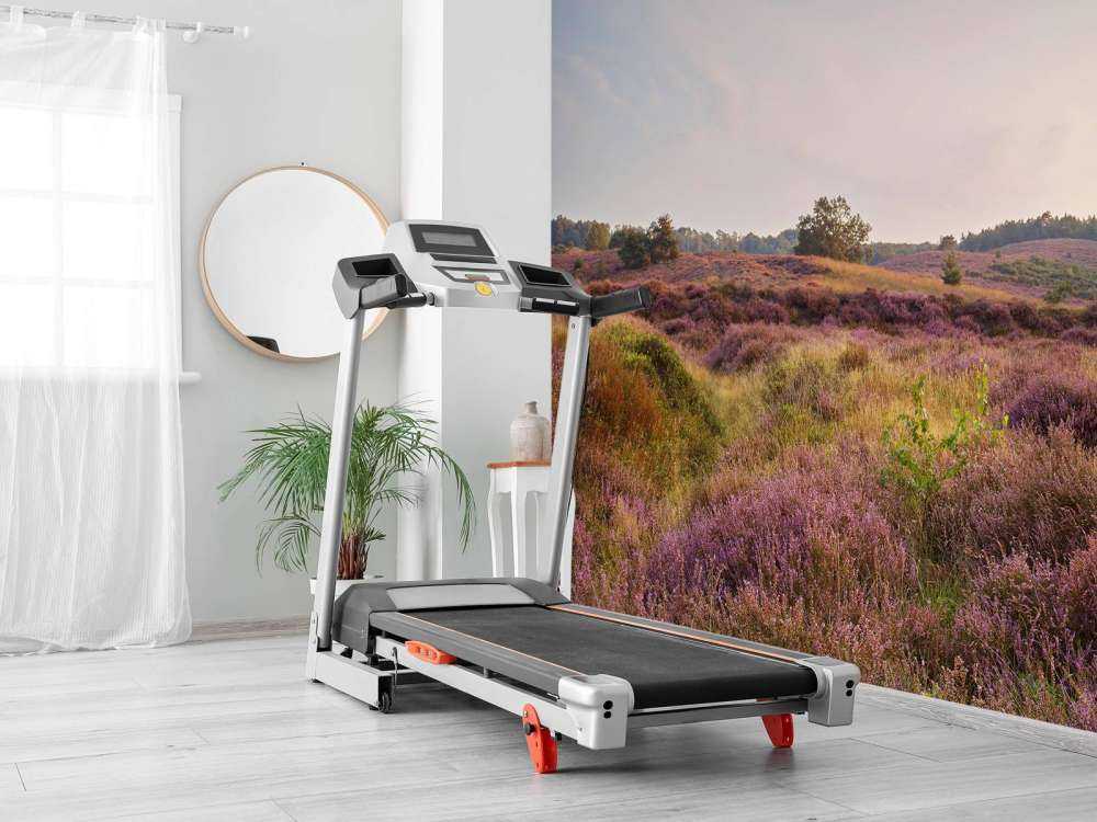 Heathland at sunrise