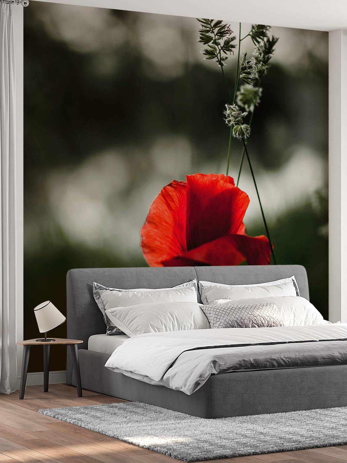 Red poppy with grass