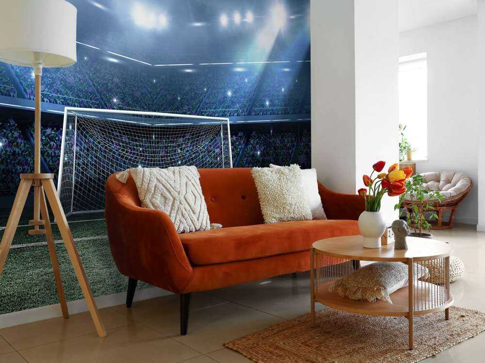 Stadium with goal