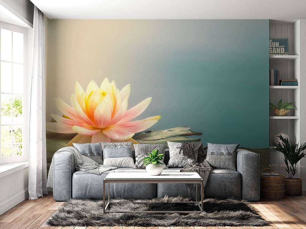 Pond with lotus flowers