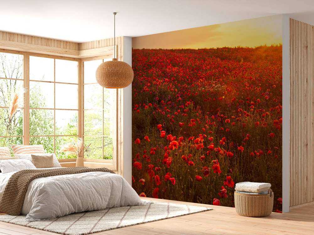 Poppies on a hill