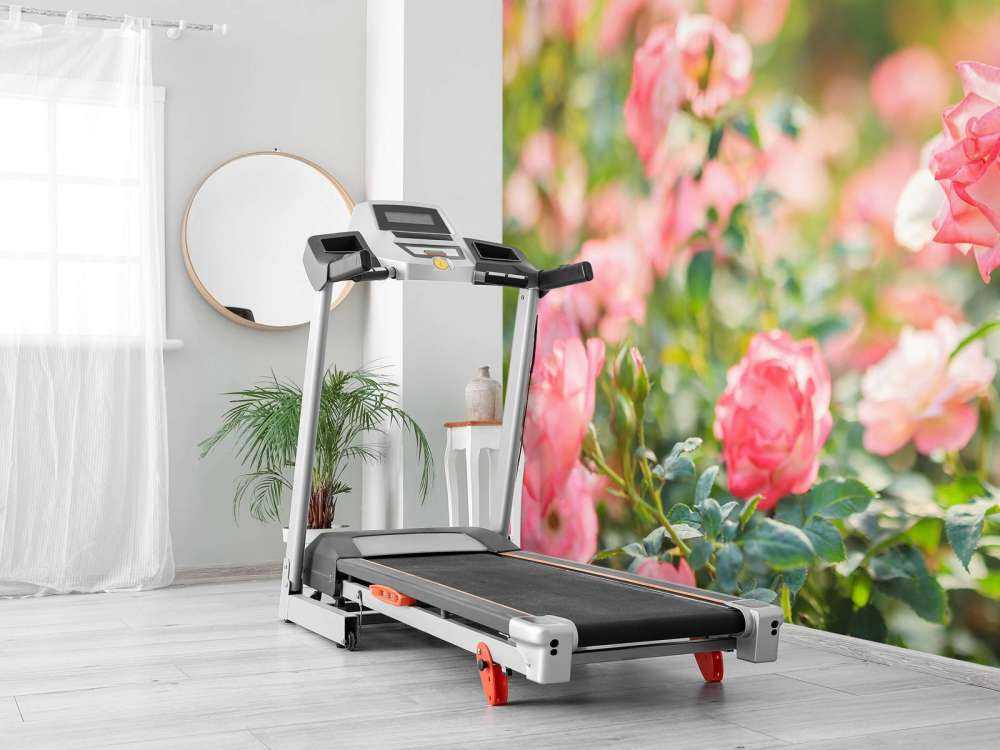 Light pink rose bush