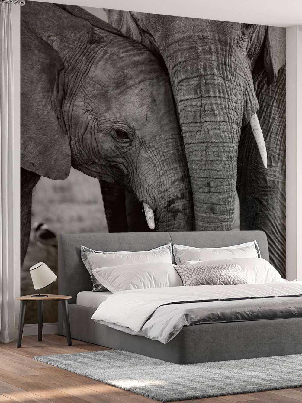Cuddling elephants