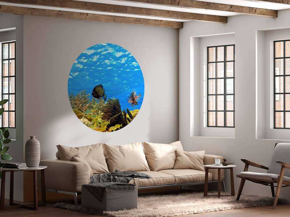 Underwater panorama