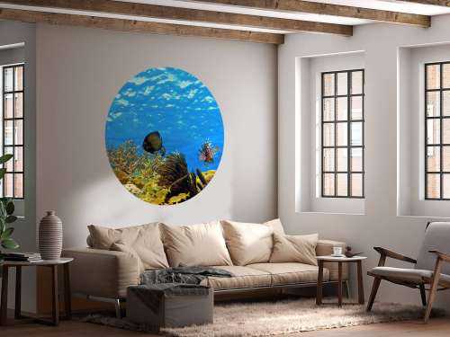 Underwater panorama