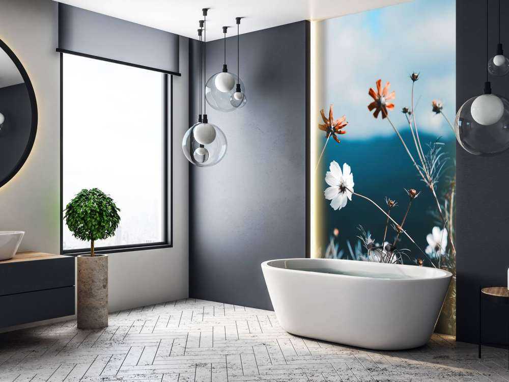 Cosmos flowers in the field