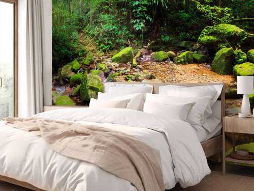 Rainforest