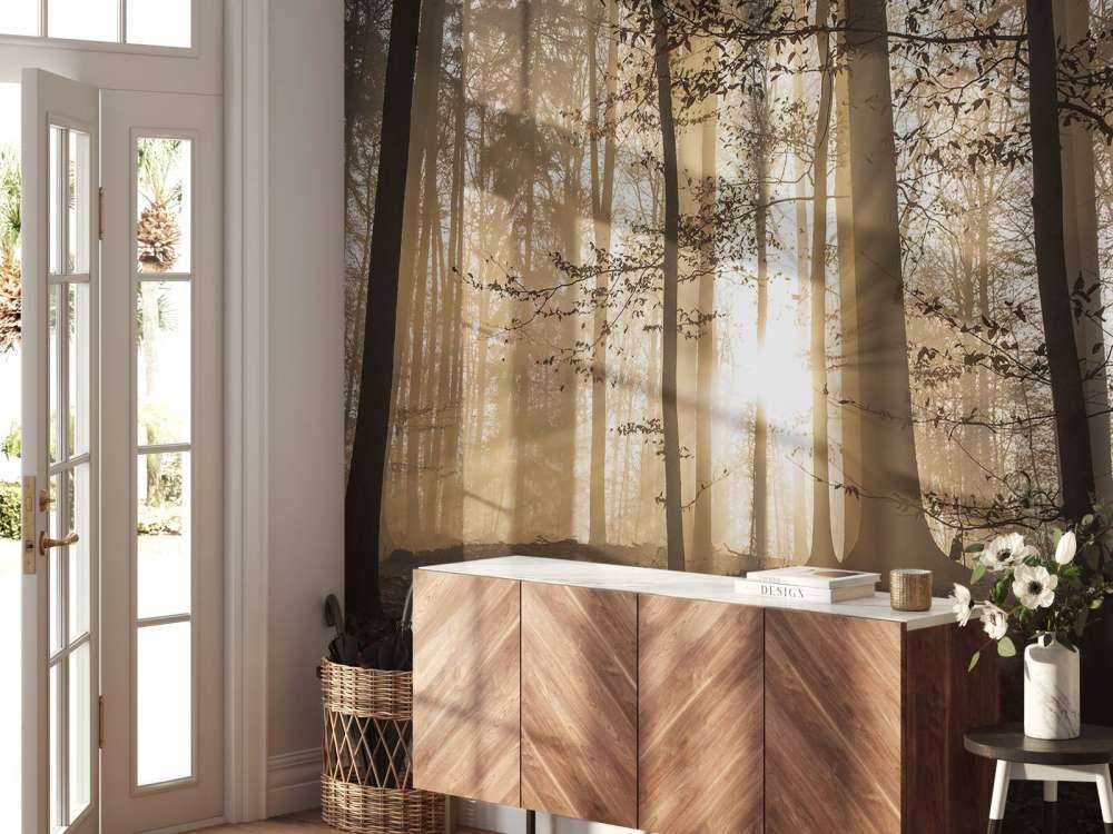 Sunshine in a misty forest