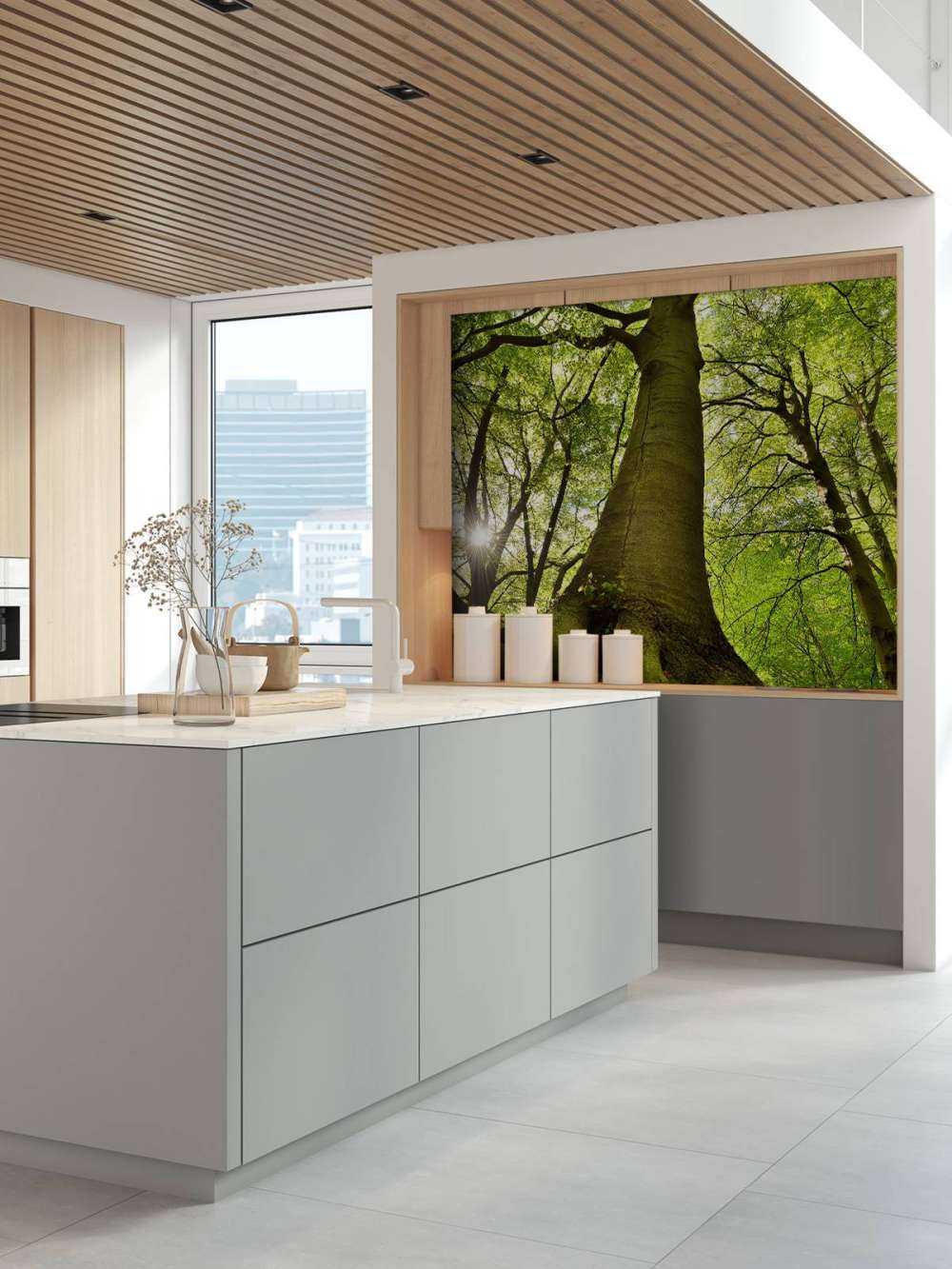 Large tree and roots