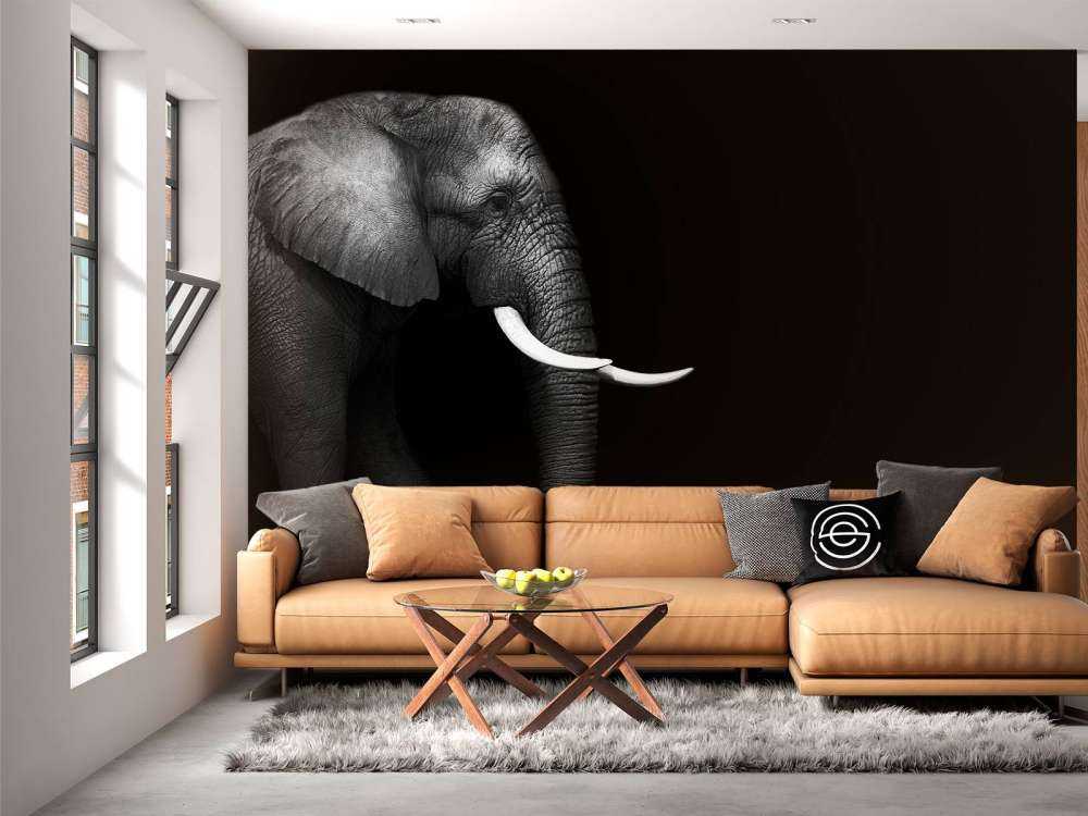 Elephant on grass