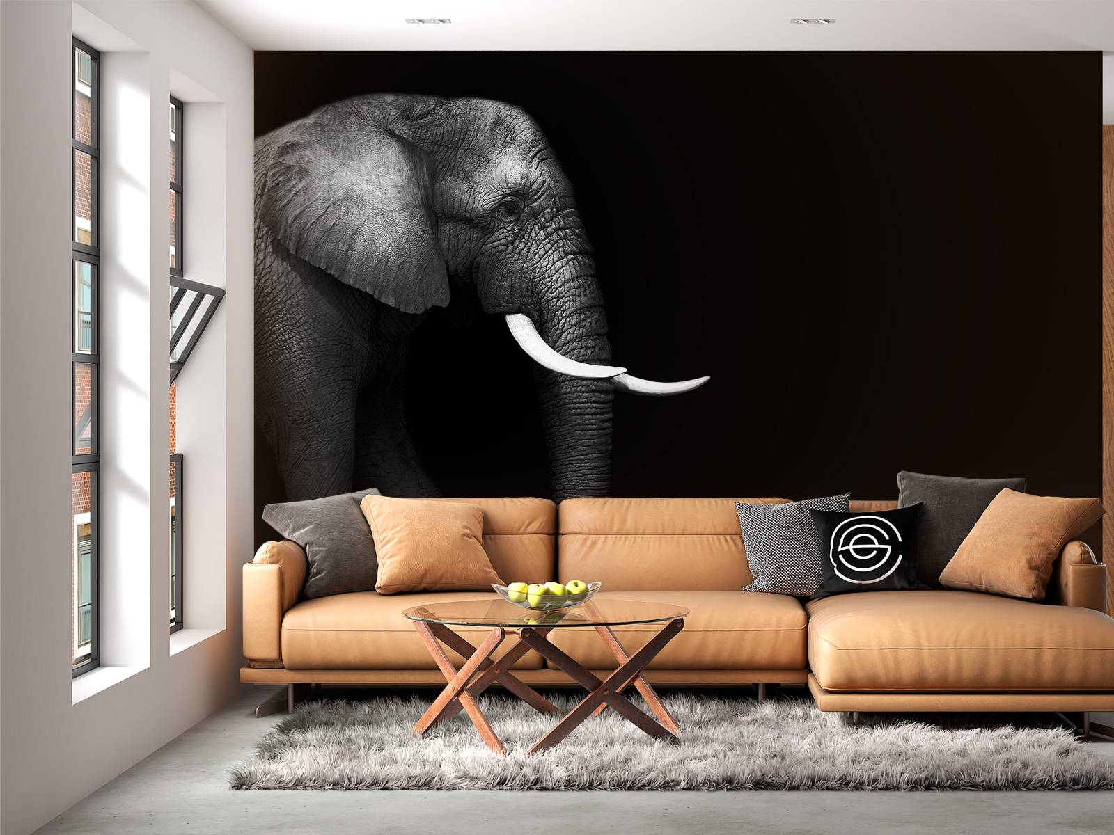Elephant on grass