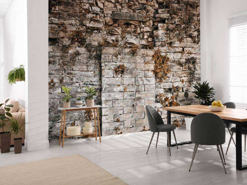 Vegetated wall in autumn