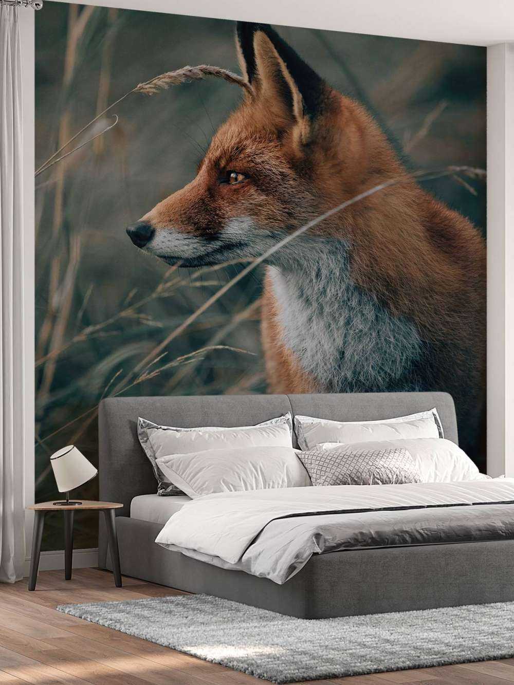 Fox in the dunes