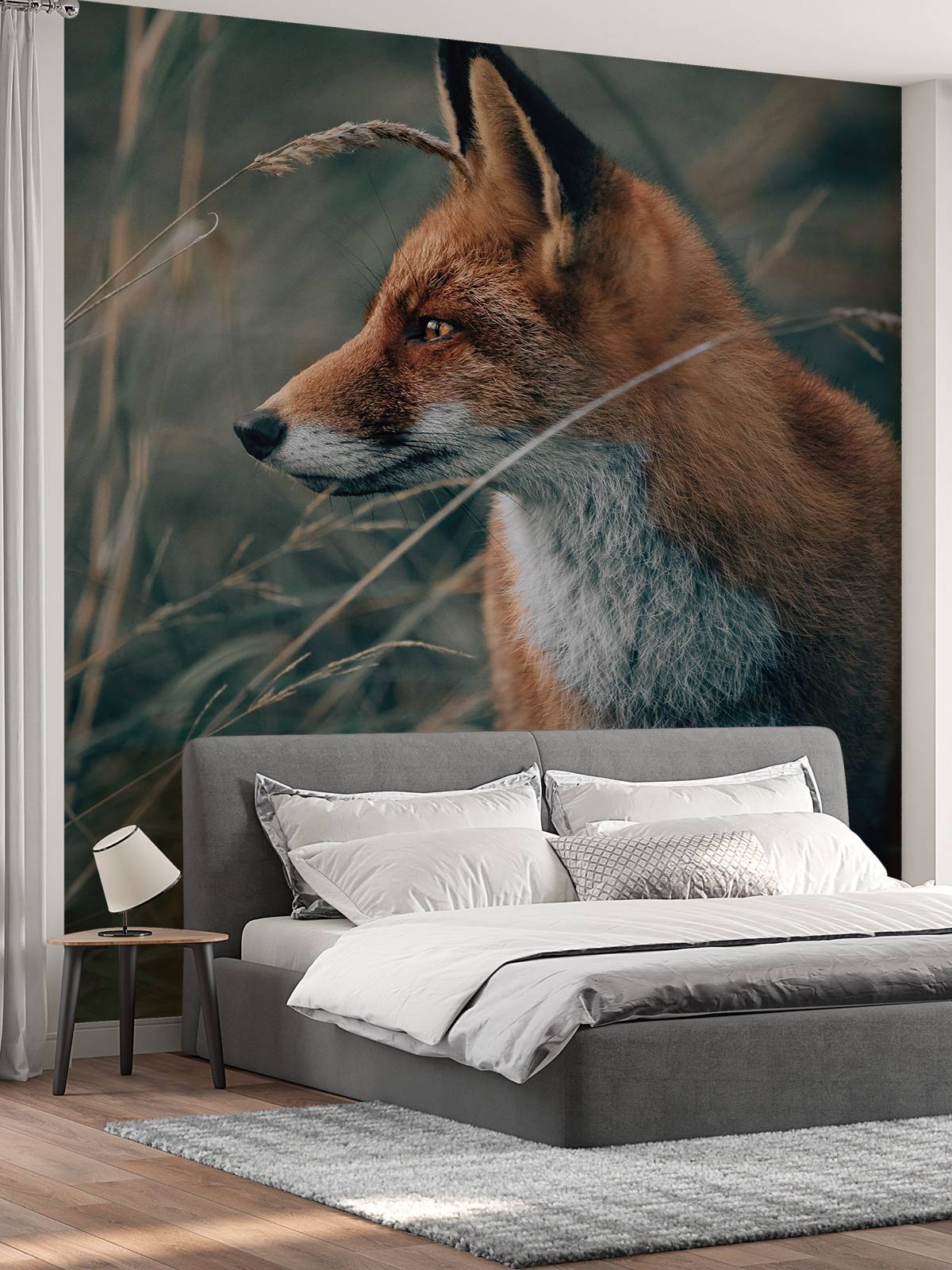 Fox in the dunes